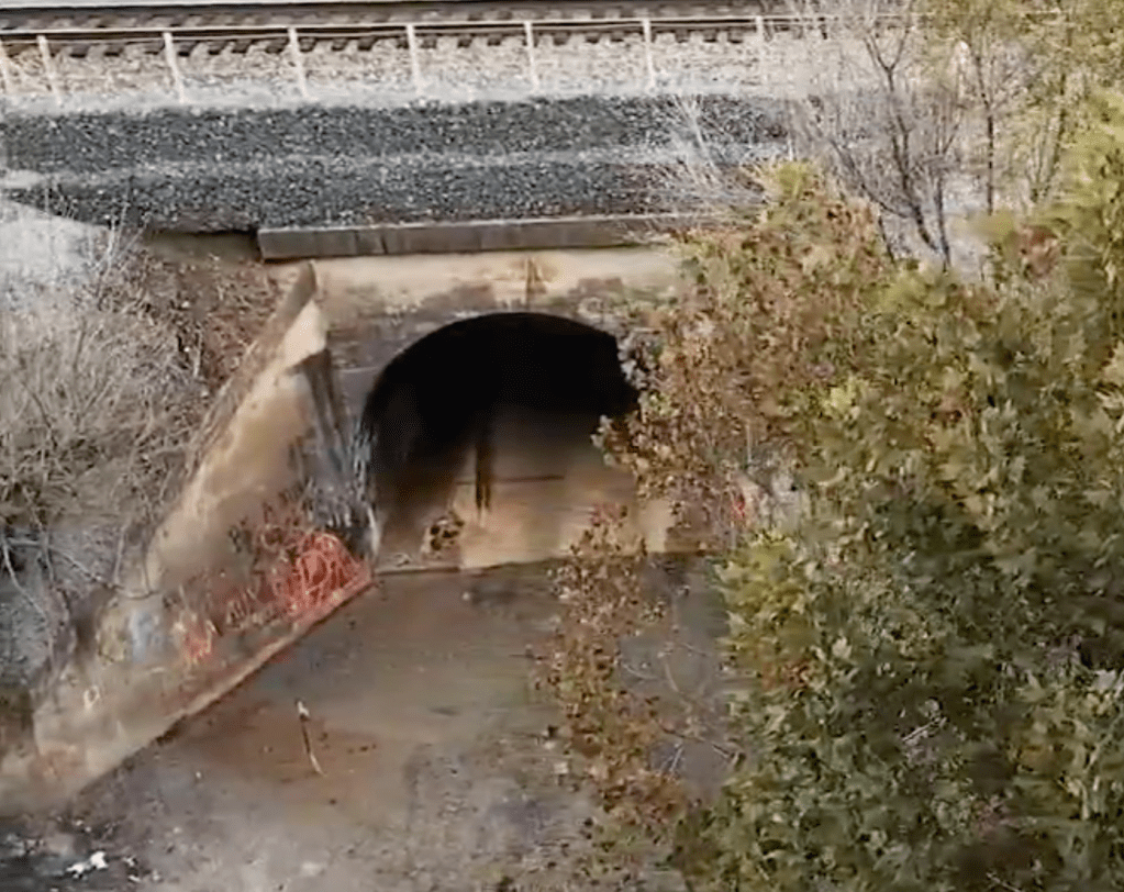 Lydia's Bridge - Still from news video